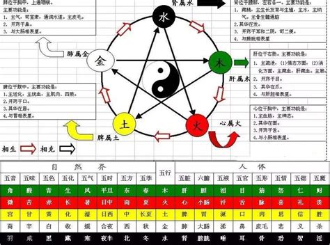 十天干五行|天干、地支、阴阳、五行、四时五方的关系表